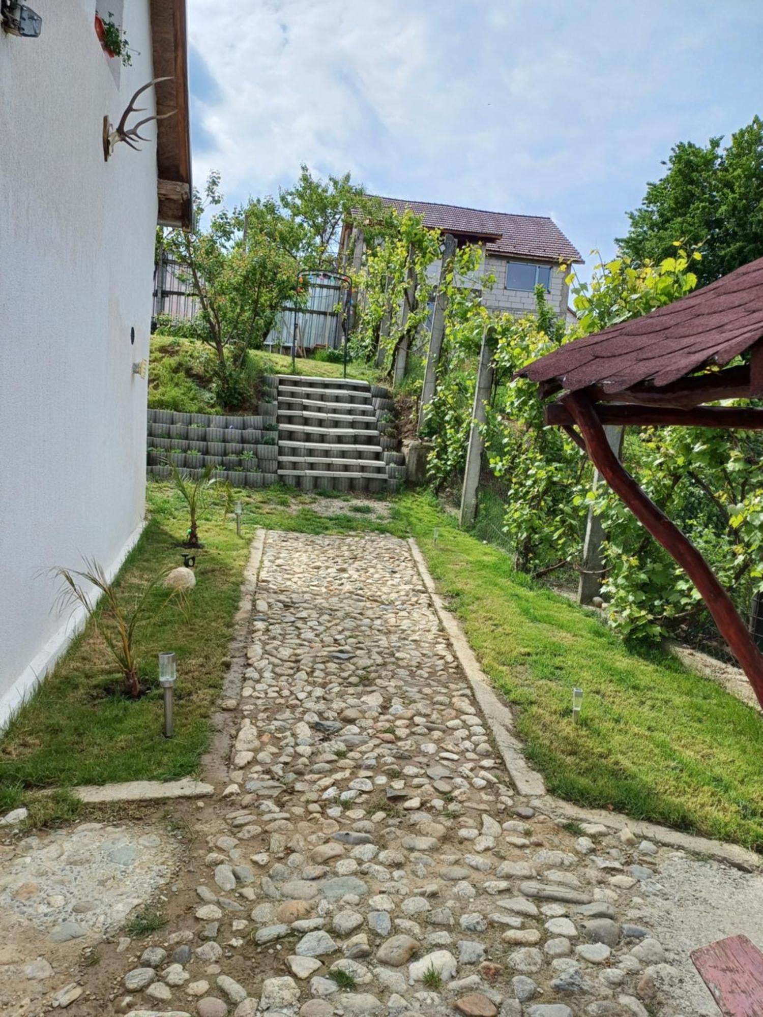 Cazare La Luiza B Sura Mare ภายนอก รูปภาพ