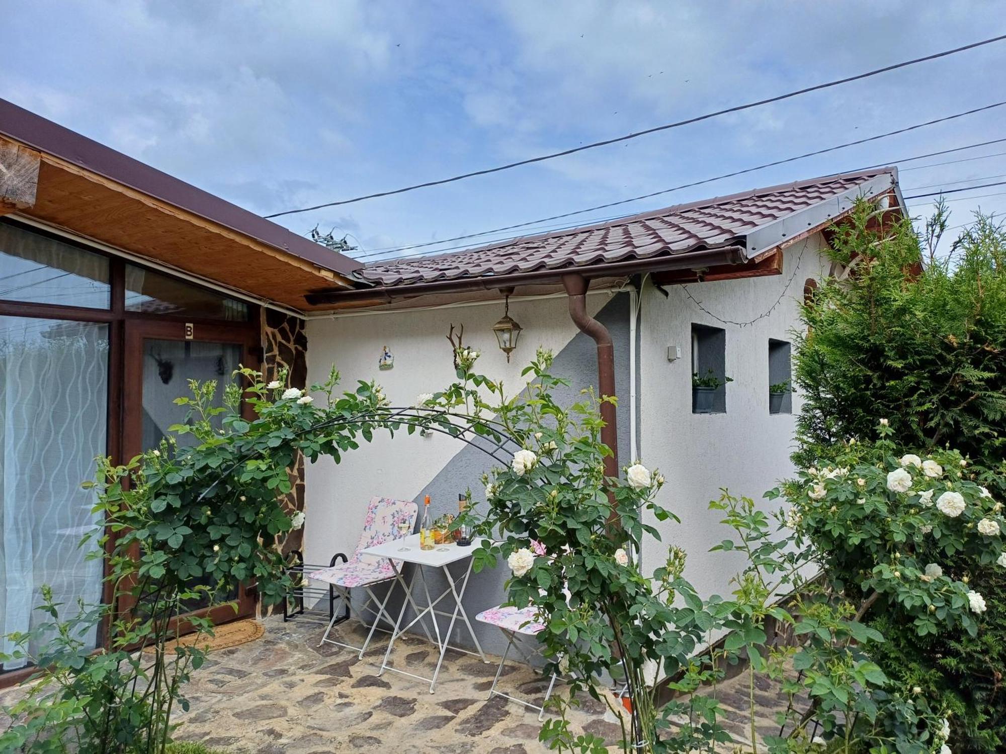 Cazare La Luiza B Sura Mare ภายนอก รูปภาพ